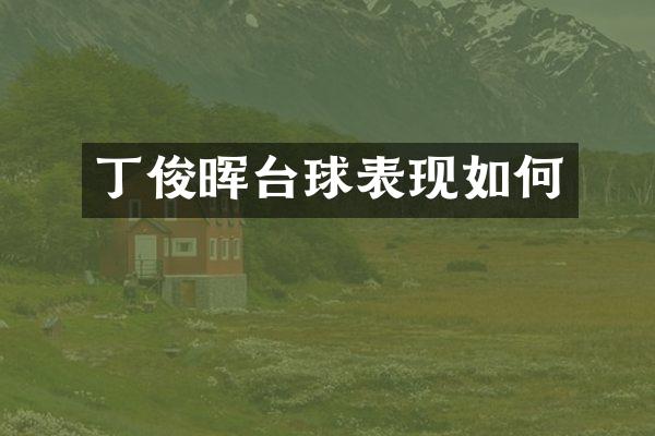 丁俊晖台球表现如何
