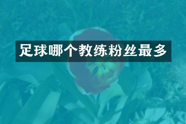 足球哪个教练粉丝最多