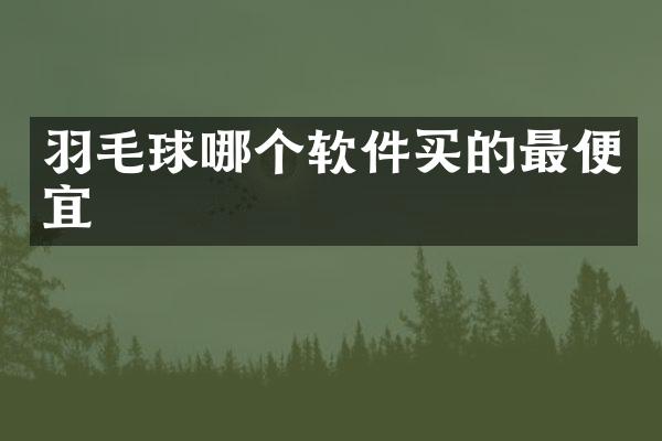 羽毛球哪个软件买的