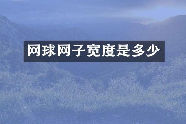 网球网子宽度是多少