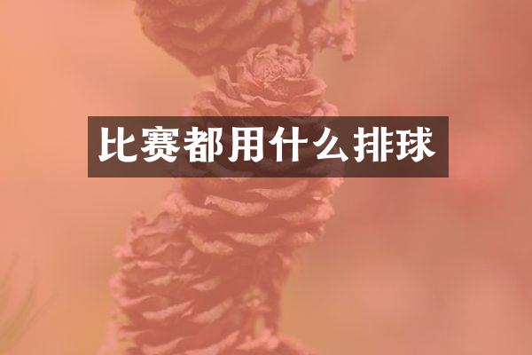 比赛都用什么排球