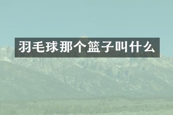 羽毛球那个篮子叫什么