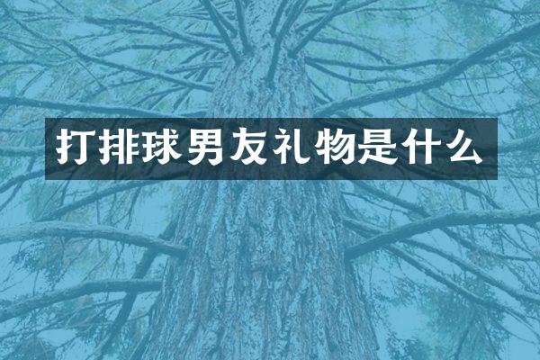 打排球男友礼物是什么