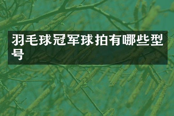 羽毛球冠军球拍有哪些型号