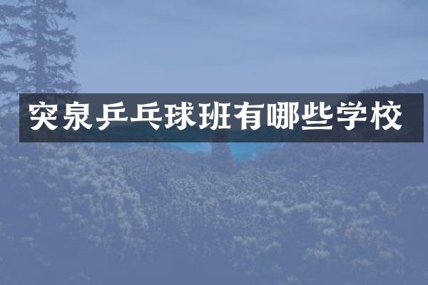 突泉乒乓球班有哪些学校