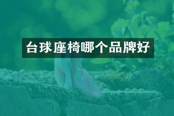 台球座椅哪个品牌好