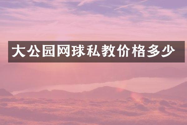 大公园网球私教价格多少