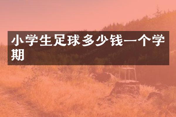 小学生足球多少钱一个学期