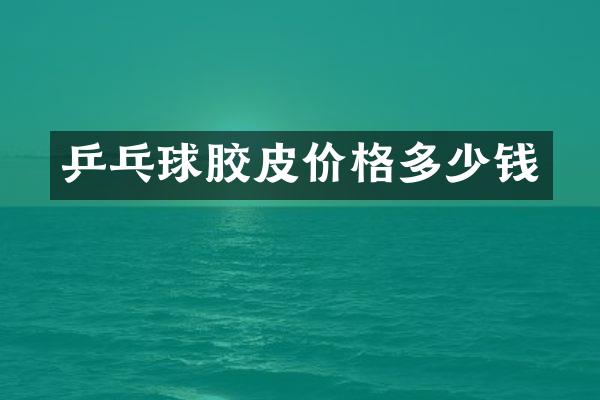 乒乓球胶皮价格多少钱