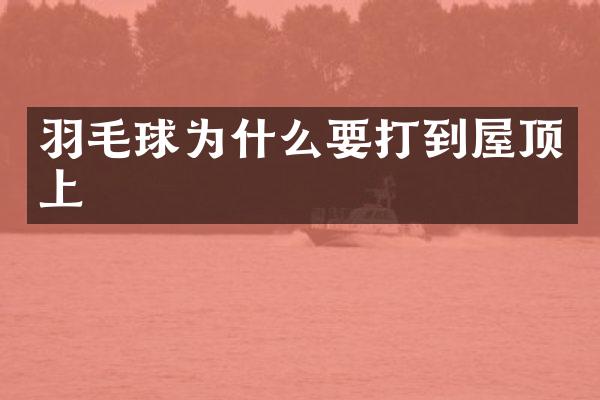 羽毛球为什么要打到屋顶上