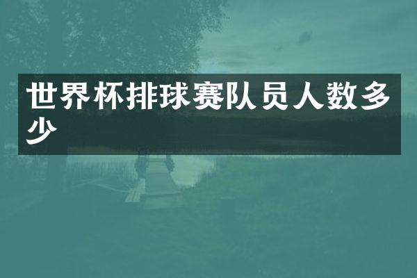 世界杯排球赛队员人数多少