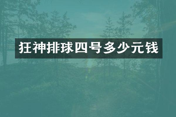 狂神排球四号多少元钱