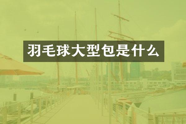 羽毛球大型包是什么