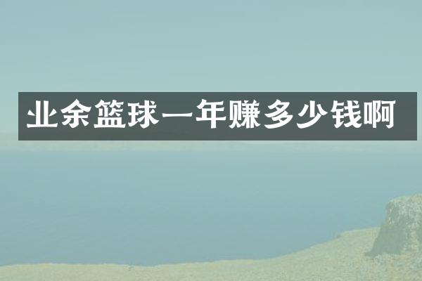 业余篮球一年赚多少钱啊