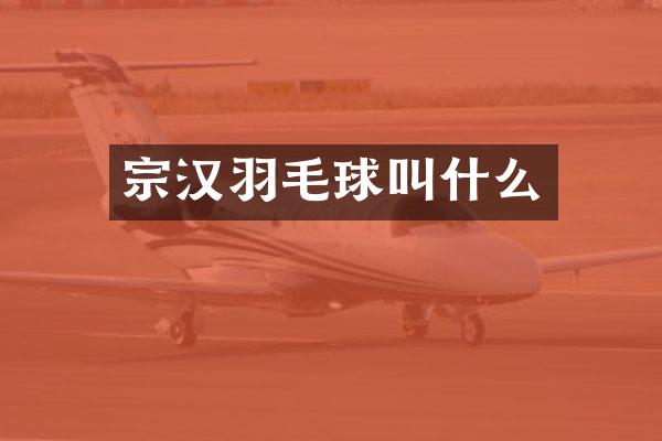 宗汉羽毛球叫什么