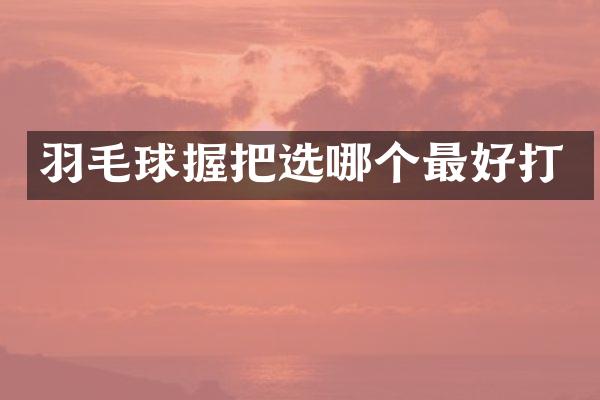 羽毛球握把选哪个最好打