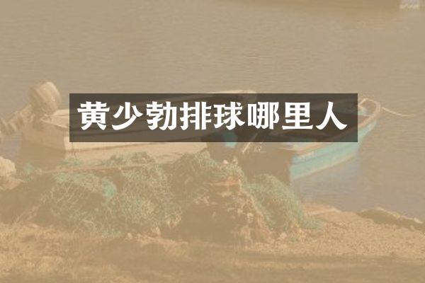 黄少勃排球哪里人