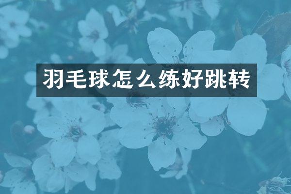羽毛球怎么练好跳转