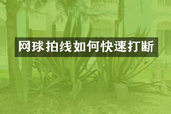 网球拍线如何快速打断