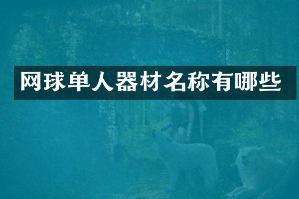 网球单人器材名称有哪些