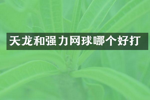 天龙和强力网球哪个好打