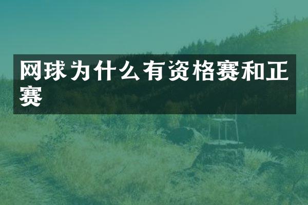 网球为什么有资格赛和正赛