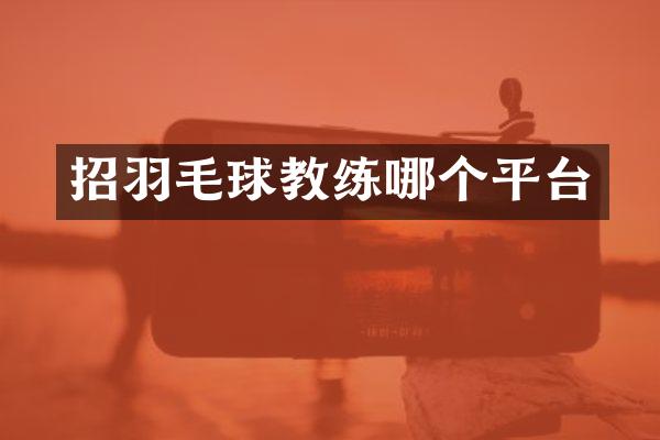 招羽毛球教练哪个平台