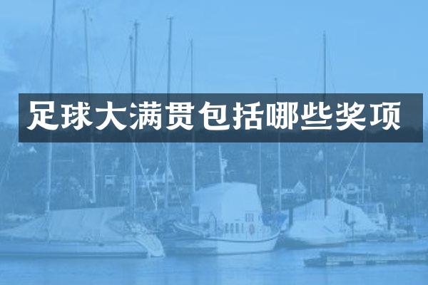 足球包括哪些奖项