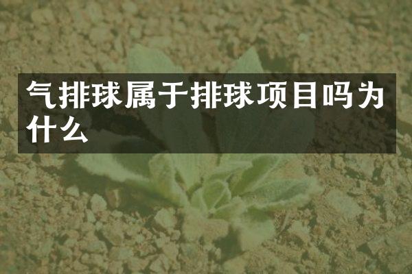 气排球属于排球项目吗为什么
