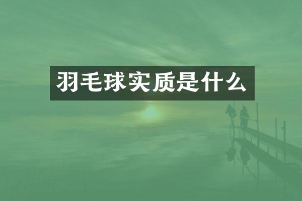 羽毛球实质是什么