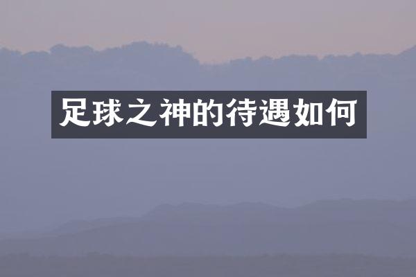 足球之神的待遇如何
