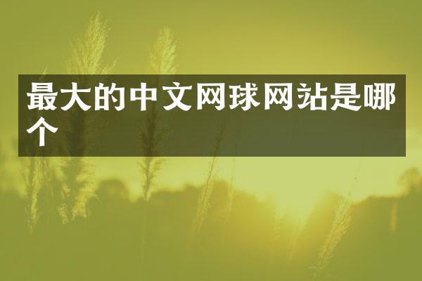 最大的中文网球网站是哪个