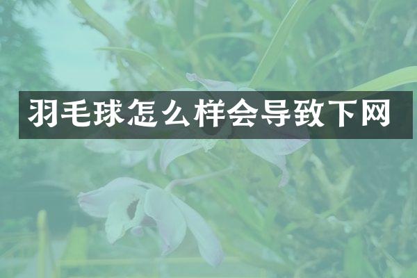 羽毛球怎么样会导致下网
