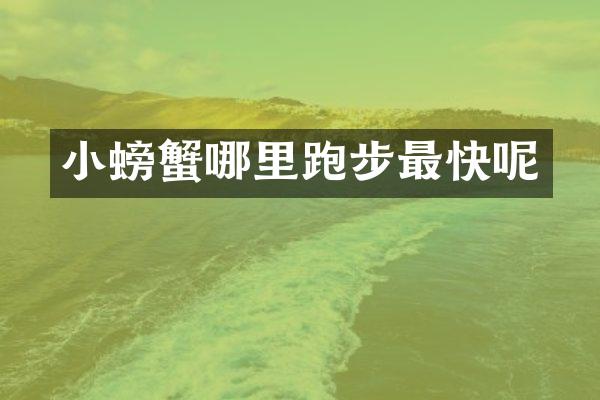 小螃蟹哪里跑步最快呢