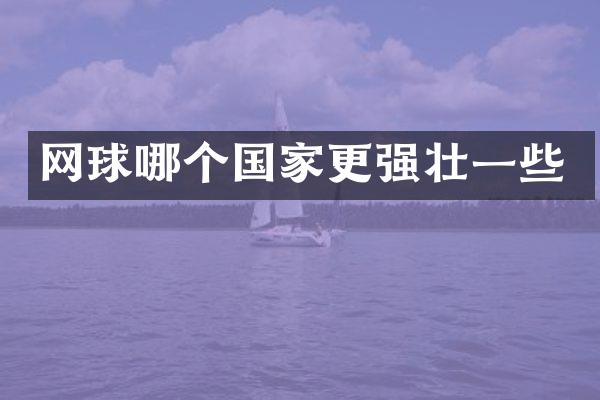 网球哪个国家更强壮一些