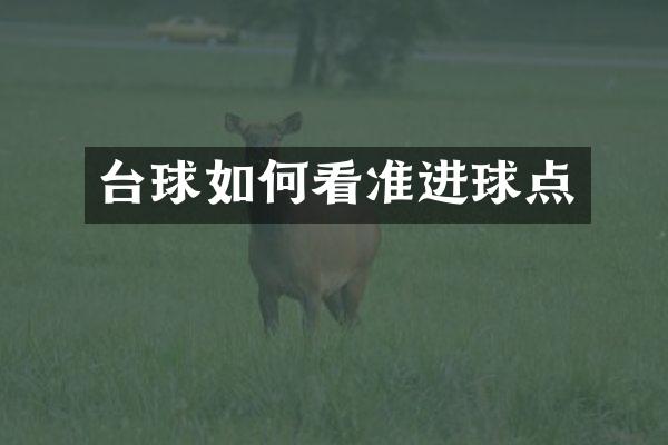 台球如何看准进球点
