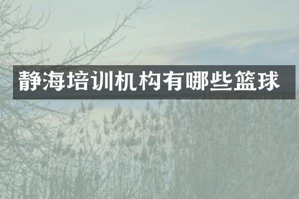 静海培训机构有哪些篮球