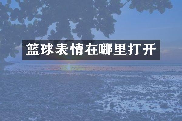篮球表情在哪里打开