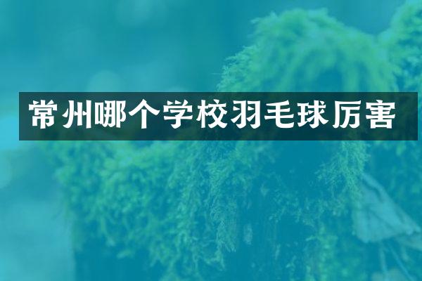 常州哪个学校羽毛球厉害