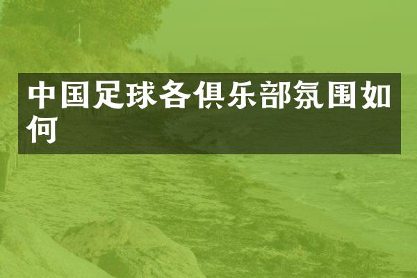 中国足球各俱乐部氛围如何