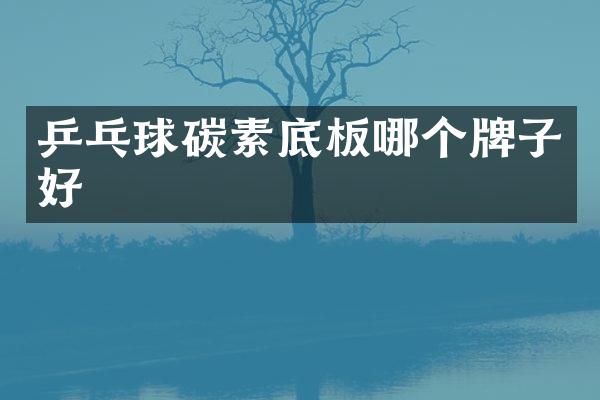 乒乓球碳素底板哪个牌子好