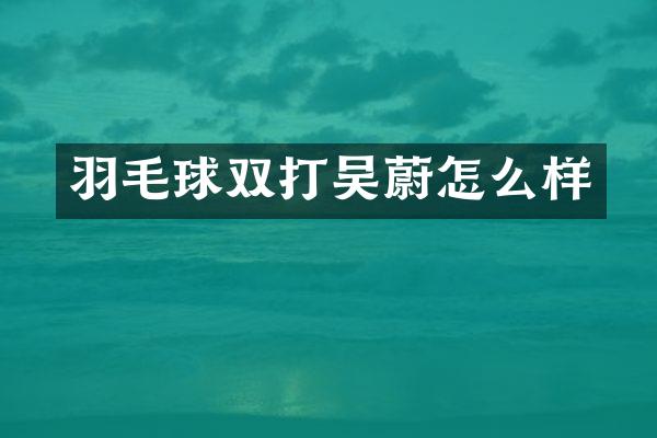 羽毛球双打吴蔚怎么样
