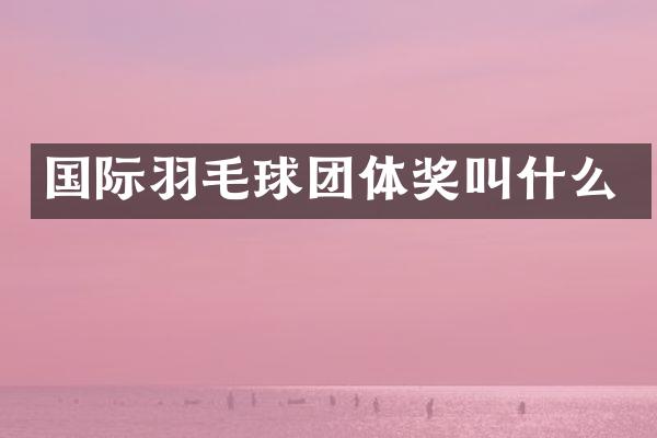 国际羽毛球团体奖叫什么