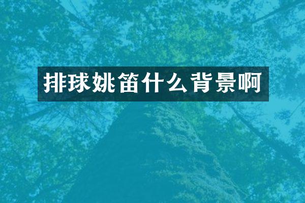 排球姚笛什么背景啊