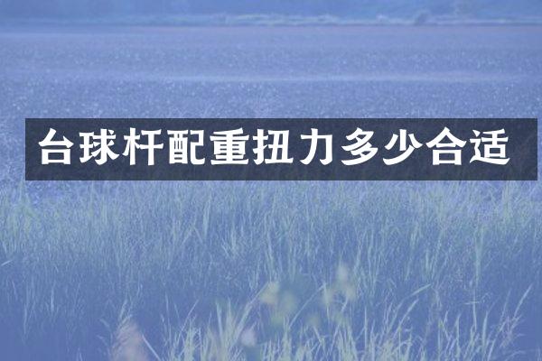 台球杆配重扭力多少合适