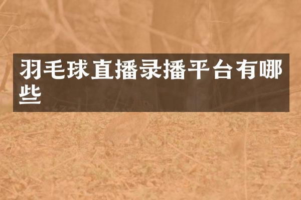 羽毛球直播录播平台有哪些