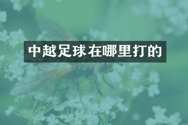 中越足球在哪里打的