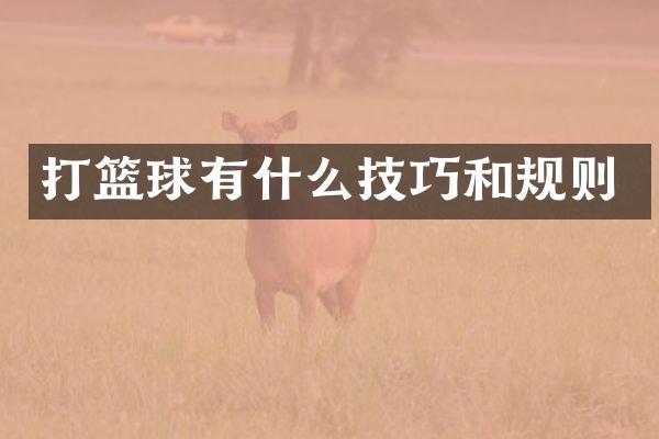 打篮球有什么技巧和规则