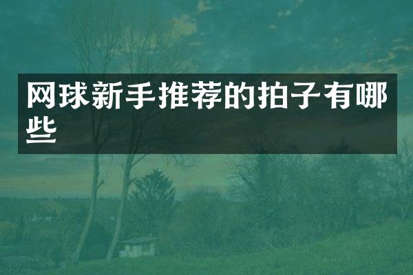 网球新手推荐的拍子有哪些