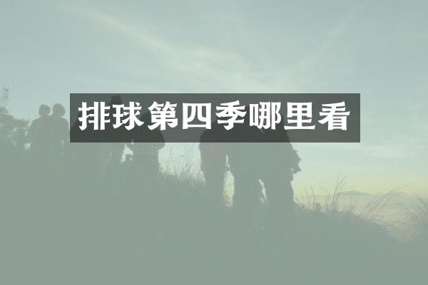排球第四季哪里看